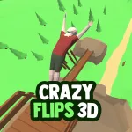 Play Game Crazy Flips 3D now !