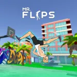 Play Game Mr Flip now !