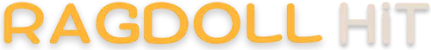 Ragdoll Hit
